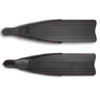 Eagleray Fins